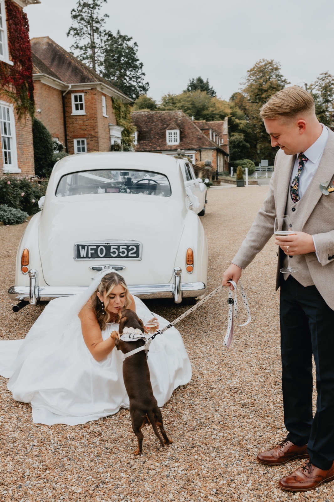 Fawn's Big Day — wedding dog chaperone photo album
