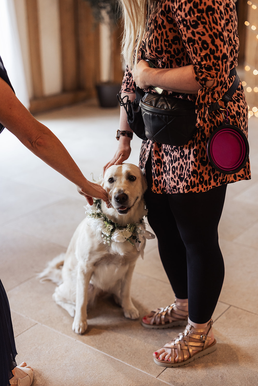 Us in Action — wedding dog chaperone photo album