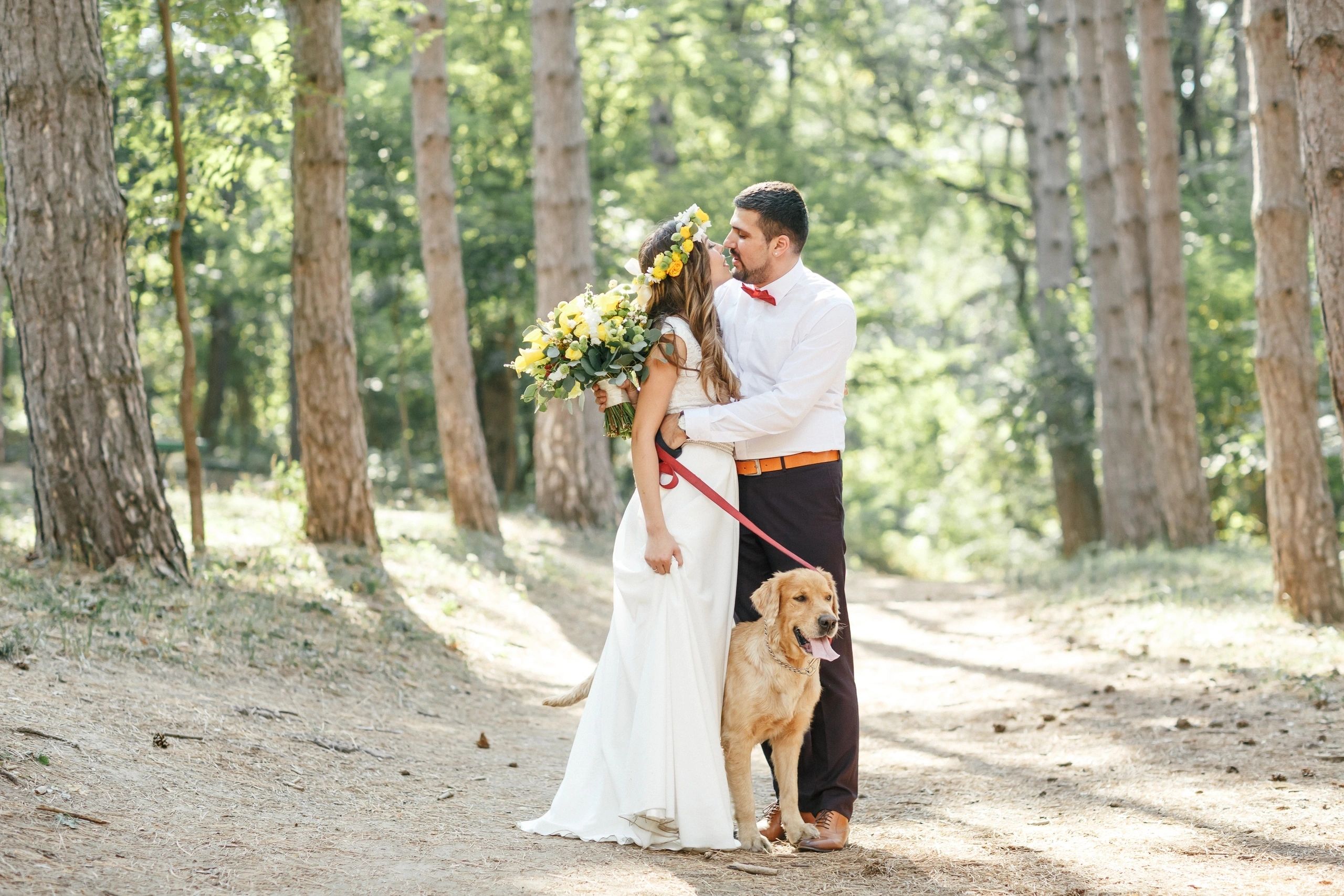 Wedding couple with golden retriever in sunny forest
