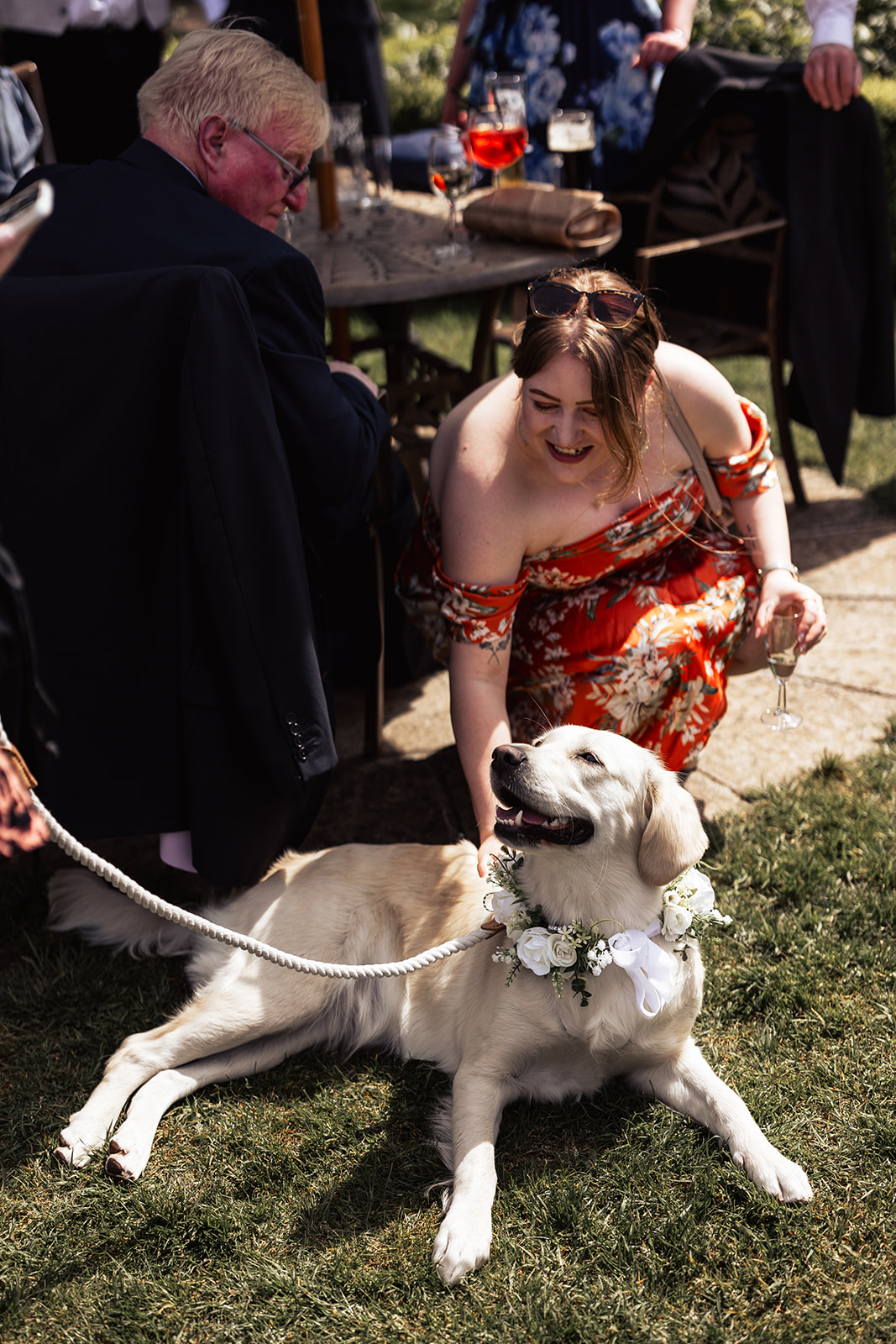 Dog with flower collar at wedding reception